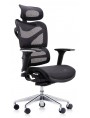 Dorsum High Back Ergonomic Mesh