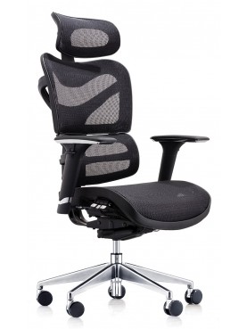 Dorsum High Back Ergonomic Mesh