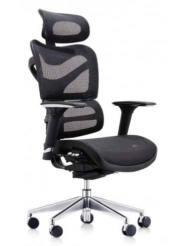 Dorsum High Back Ergonomic Mesh