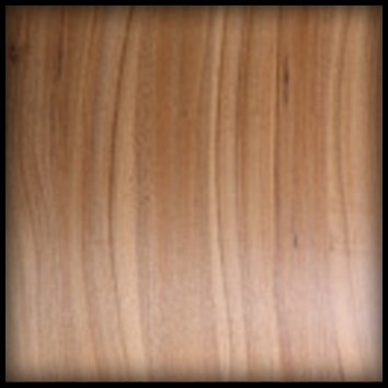 American Black Walnut